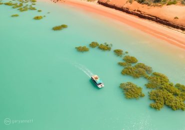 Cruising past mangroves along beach 2 1